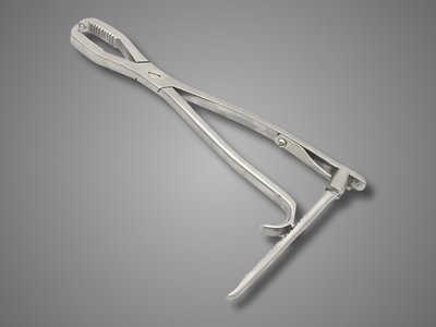 Lane Bone Holding Forcep