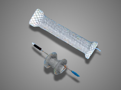 Swift Esophageal Metallic Stent